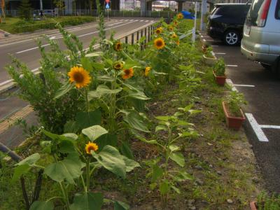 DSCF4318.jpg