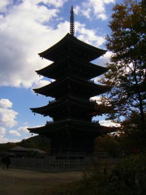 DSCF4668.jpg