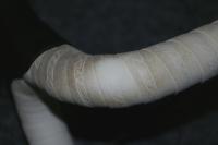 20120529-2.jpg