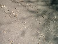 20120614-2.jpg