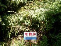 20120614-3.jpg