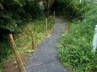 20120615-1.jpg