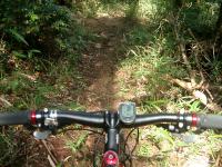 20120615-2.jpg