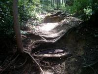 20120615-3.jpg