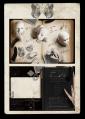 aboutus_book_20120618022044.jpg