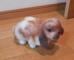 うさぎ・金時ちゃん3-4