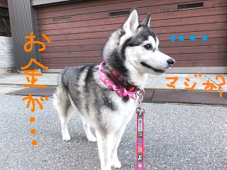 マジか?お金が・・・