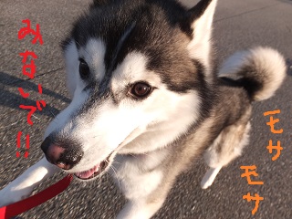 見ないで!!