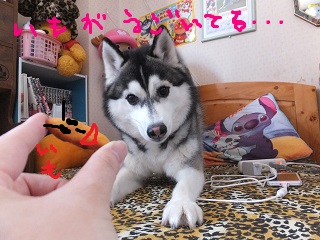 イモが動いている