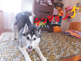 テンション上げ