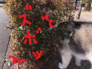 ズボッ!!