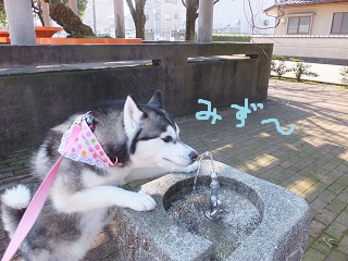 みず~