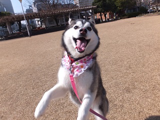 楽しいです♪