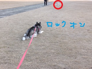 ロックオン