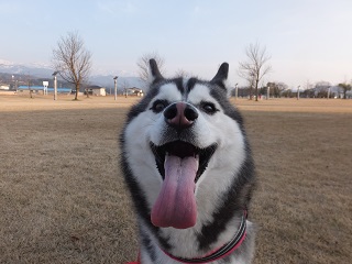 あは♪楽しかったね!