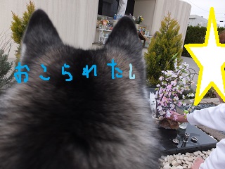 怒られた・・・