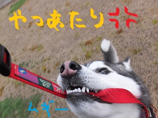 八つ当たり