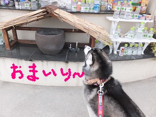 お参り~