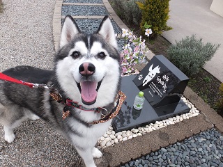 お墓掃除終了