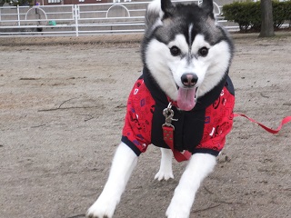 とりあえず走る
