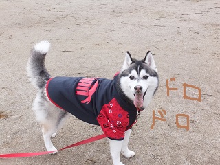 ドロドロ・・