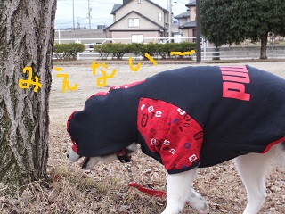 見えない~ぶつかる!