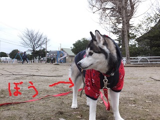 棒きれ