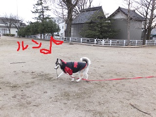 棒遊び♪