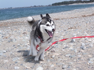 海でRUN