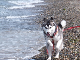 海でRUN2