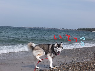 石踏んで痛っ
