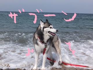 波ザブーン