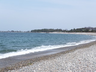 海