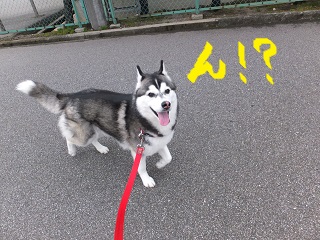 ん!?寒気が