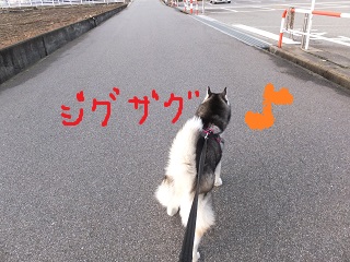 ジグザグ~
