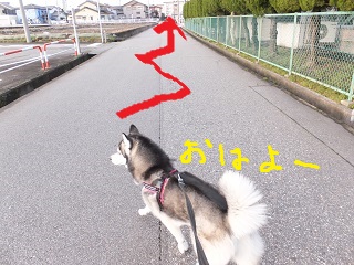 ジグザグ走行