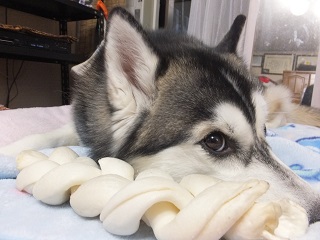 何か?