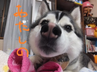 あたしの蹄