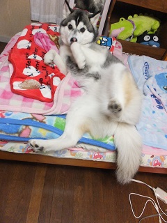 キック