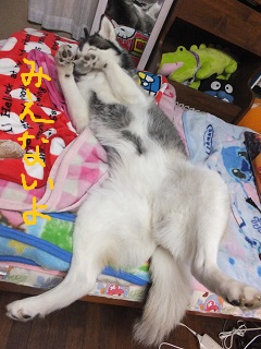 見えないよ