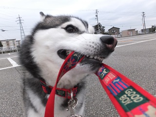 リード離せ!!