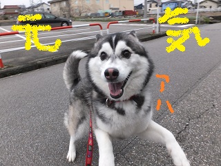 元気だよ!!