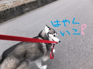 早く行こう!!