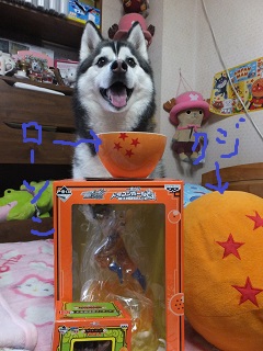 ローソンの景品