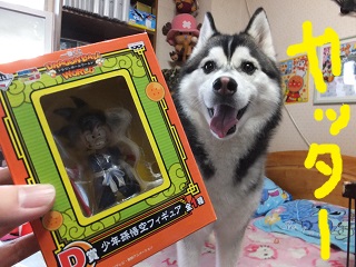 悟空フィギュアGET