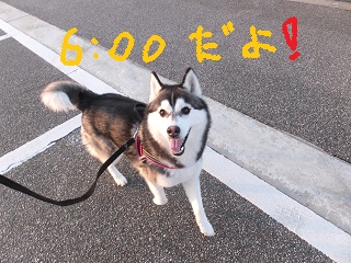 6時だよ