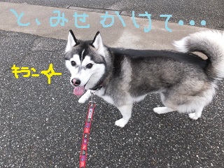 と、みせかけて・・・