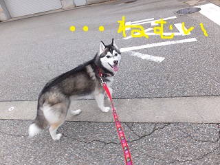 眠いです・・・