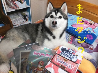 またくじ?