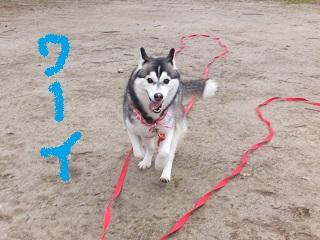 ワーイ!公園だ~
